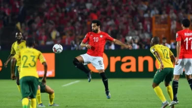 Cameroon - Egypt: prediction for the Africa Cup